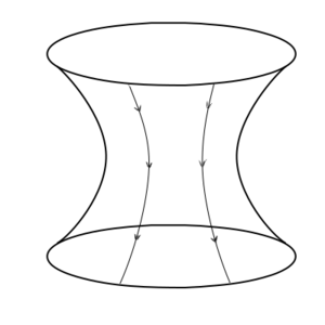 Hyperbolic surface and lines.png